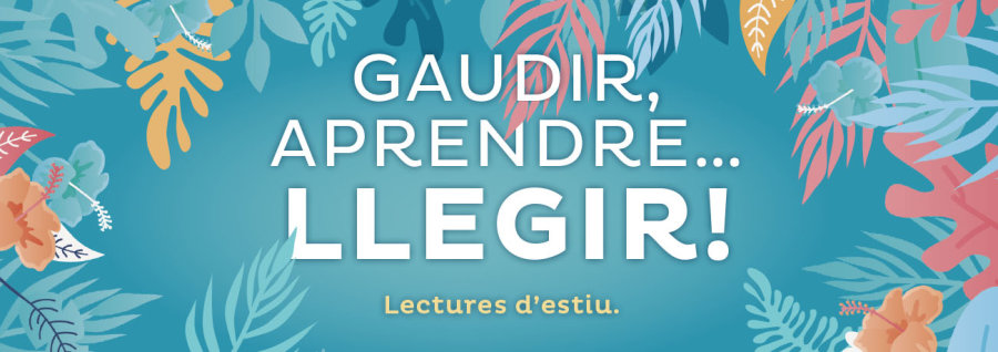 Lectures d'estiu